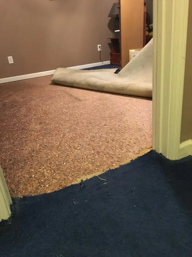 Carpet pad removal revealing water damage during Water Mitigation Services in Scranton