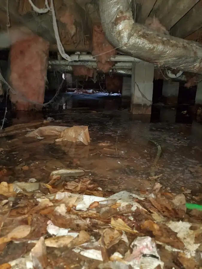 Crawl space flood assessment for Leak Detection & Repair in Scranton