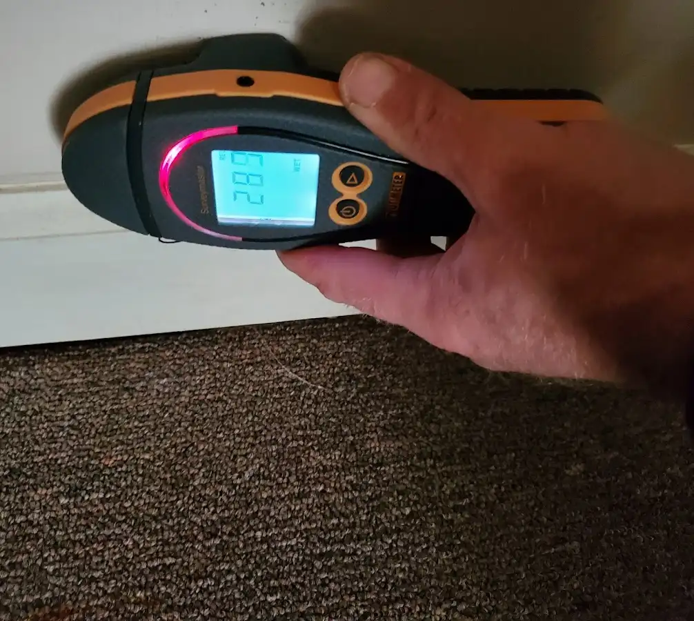 Moisture detection at baseboard during Sewage Cleanup & Sanitation in Scranton